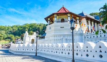 Semi-Luxury Travel Sri Lanka Tour