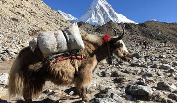 Everest Panorama View Trek -10 Tage Rundreise