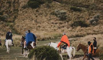 Magisch Paardrijden in het Wolkenwoud-rondreis