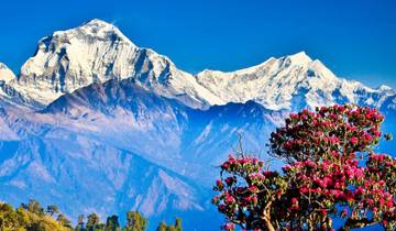 Ghorepani Ghandruk Trek