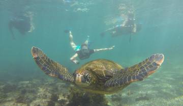 7 jours aux Galápagos : visite complète des îles circuit
