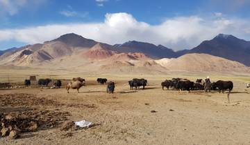 Discover the Pamir of Tajikistan Tour