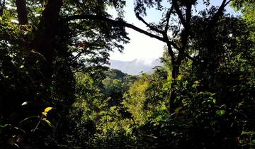 3 Day Rwanda & Uganda Itinerary, incl. Kigali and Bwindi