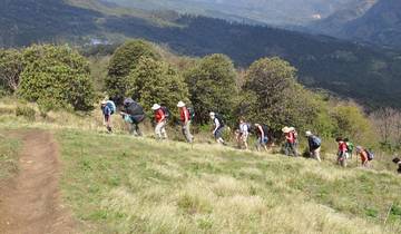 Trek de Ghorepani Poonhill et safari dans la jungle circuit