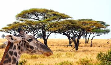 Safari aérien à Elewana - Tanzanie circuit