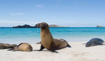 Highlights Of Quito and Galapagos Islands Tour