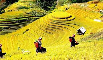 Real Sapa Experience 5Days/5nights Tour