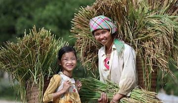 Vietnamreise (Von Hanoi) - 9 Tagen Rundreise