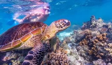 7 Day Perth to Exmouth Explorer & Ningaloo Reef Return - from Perth