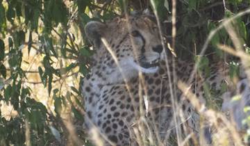 20 Day East Africa Itinerary, incl. Nairobi and Zanzibar