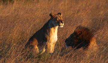 20 Day East Africa Itinerary, incl. Nairobi and Zanzibar