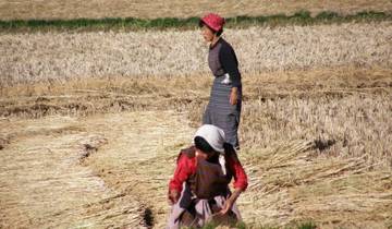 Best of Bhutan