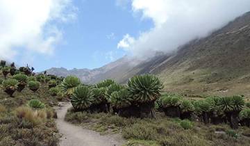 4D/3N Mount Kenya: Up and Down Sirimon Route