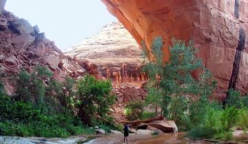 Coyote Gulch Adventure