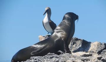 7 Day Galapagos Islands Itinerary, incl. Santa Cruz and San Cristóbal
