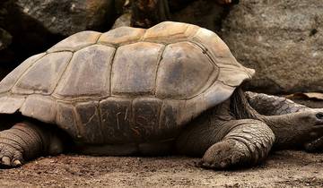 7 Day Galapagos Islands Itinerary, incl. Santa Cruz and San Cristóbal