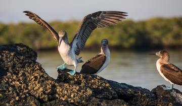7 Day Galapagos Islands Itinerary, incl. Santa Cruz and San Cristóbal