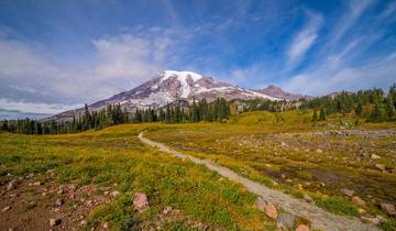 Best of Olympic and Rainier Tour Tour