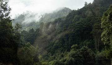 Best of Central America (from Playa del Carmen to Penonome)