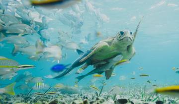 8 Day Belize Itinerary, incl. San Ignacio and Caye Caulker