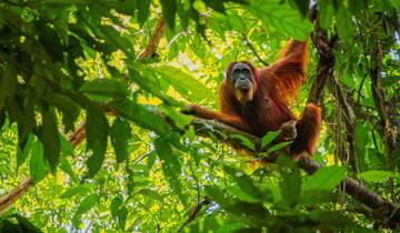 Sumatra Adventure (16 destinations)
