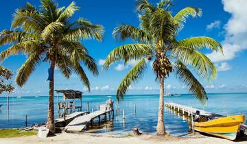 Discover Belize