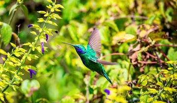 14 Day Central America Itinerary, incl. Granada and Panama City
