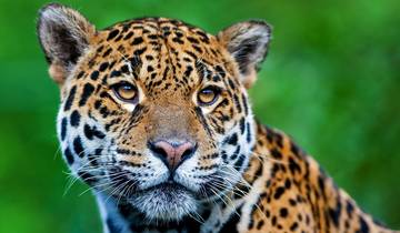 Belize