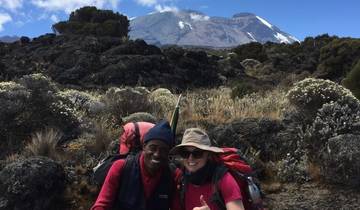 Kilimanjaro - Lemosho Trek