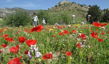 8 Days in Northern Cyprus, incl. Kyrenia and Famagusta