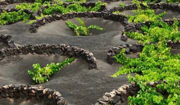 Trek dans les îles Canaries - Lanzarote