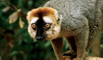 Madagascar Wilderness Trek Tour