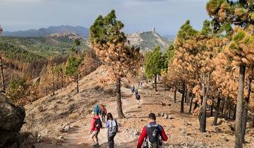 Canary Islands Walking - La Gomera and Tenerife