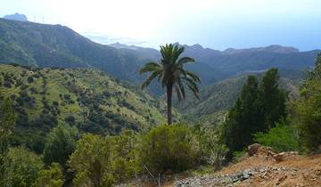 8 Day Canary Islands Itinerary, incl. La Gomera and Tenerife