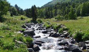 Walking in the Pyrenees