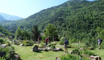 Walking in the Pyrenees