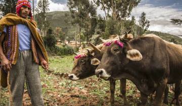 Classic Peru