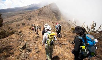 Kilimanjaro Climb Machame Route 7 Days Tour