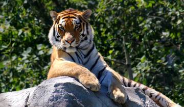 Bandhavgarh Nationalpark mit Taj Mahal Rundreise