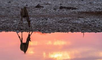 16 Days in Namibia, incl. Windhoek and Etosha