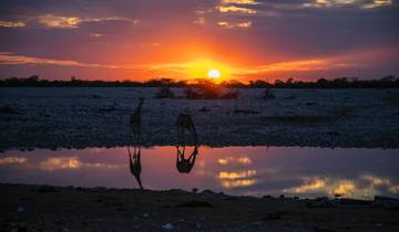 16 Days in Namibia, incl. Windhoek and Etosha