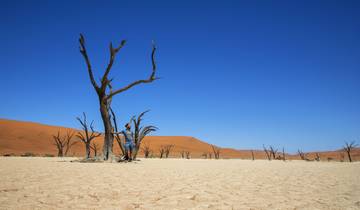 16 Days in Namibia, incl. Windhoek and Etosha