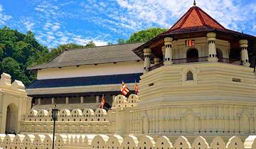 Sri Lanka in a Nutshell - Free Upgrade to Private Tour Available Tour