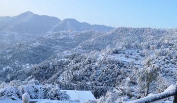 Shimla Dharamshala rondreis-rondreis