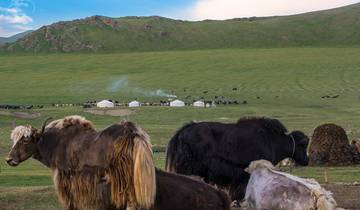 17 Day Mongolia Itinerary, incl. Ulaanbaatar and Gobi Desert