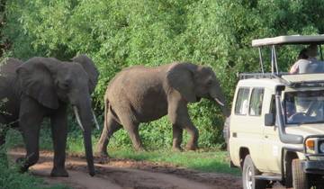 Safari en Tanzanie - 5 jours circuit