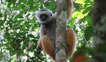 10 Days in Madagascar, incl. Antananarivo and Tsingy de Bemaraha