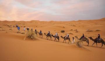 Moroccan Desert Adventure: River Canyons & Camels