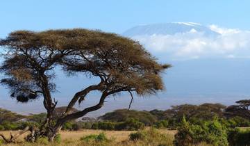 Beklimming Kilimanjaro  – 9 dagen Lemosho Route