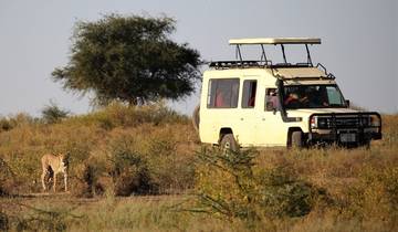 The Best Adventure Tanzania Safari Tour